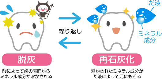 歯の 再石灰化 について 山本歯科クリニックのスタッフブログ